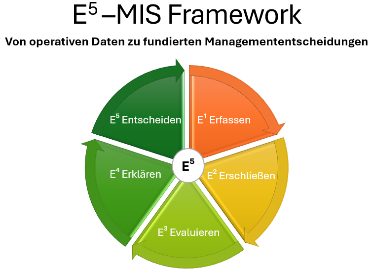 E⁵-MIS Framework